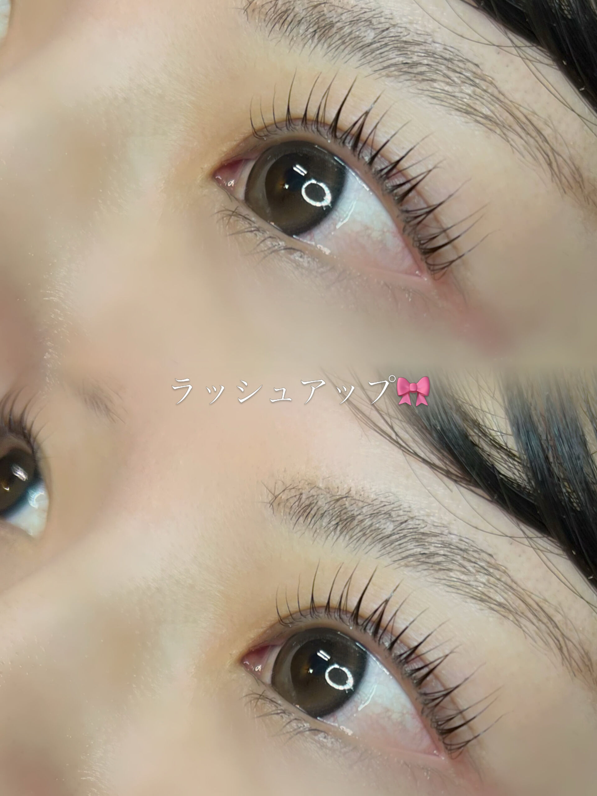 ビューラー卒業してラッシュアップにしませんか🦋？